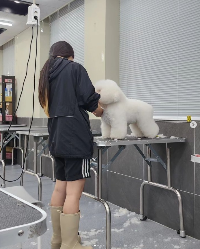 제목 없음.jpg