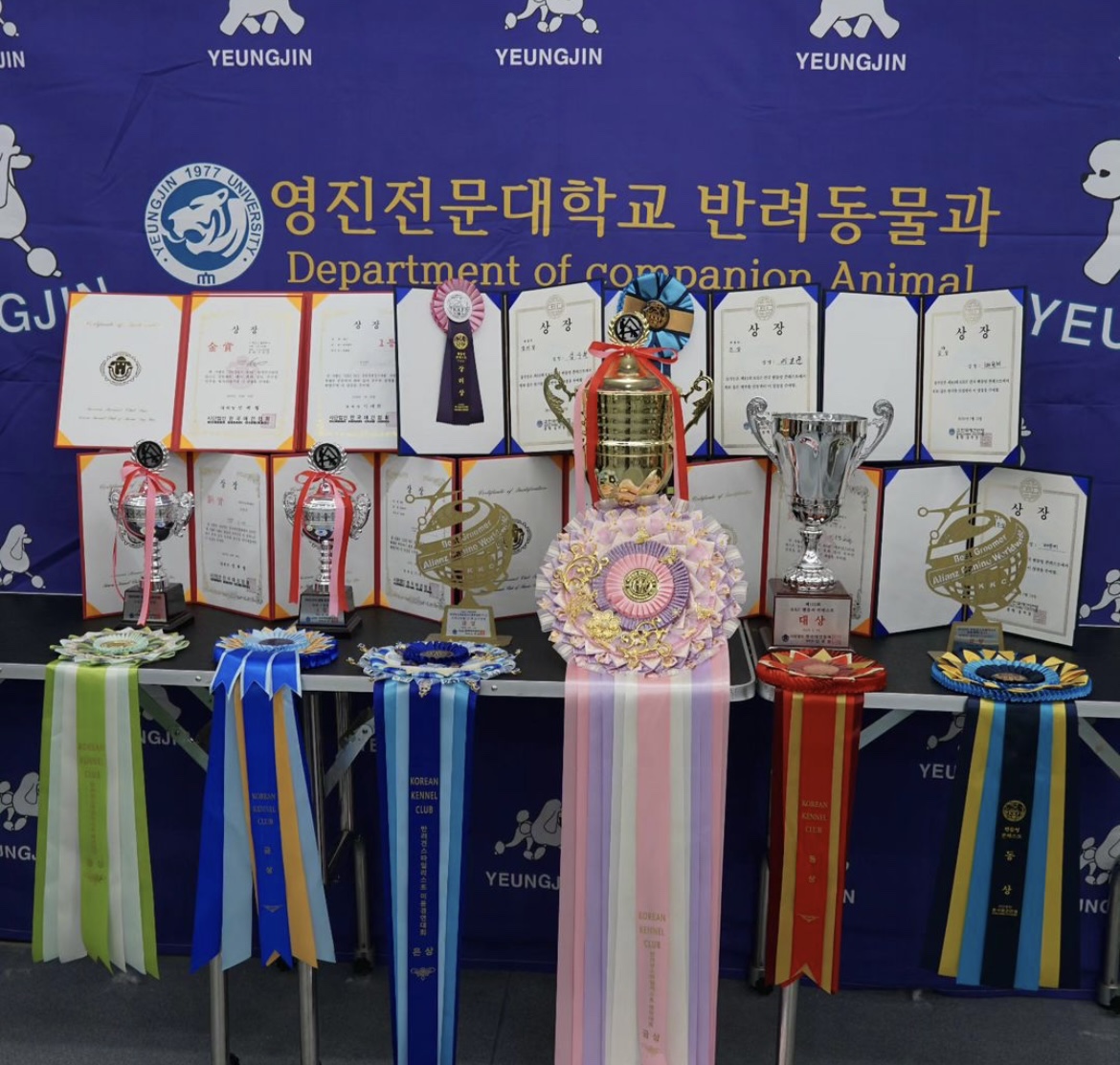 KakaoTalk_20240909_162539690_14.jpg