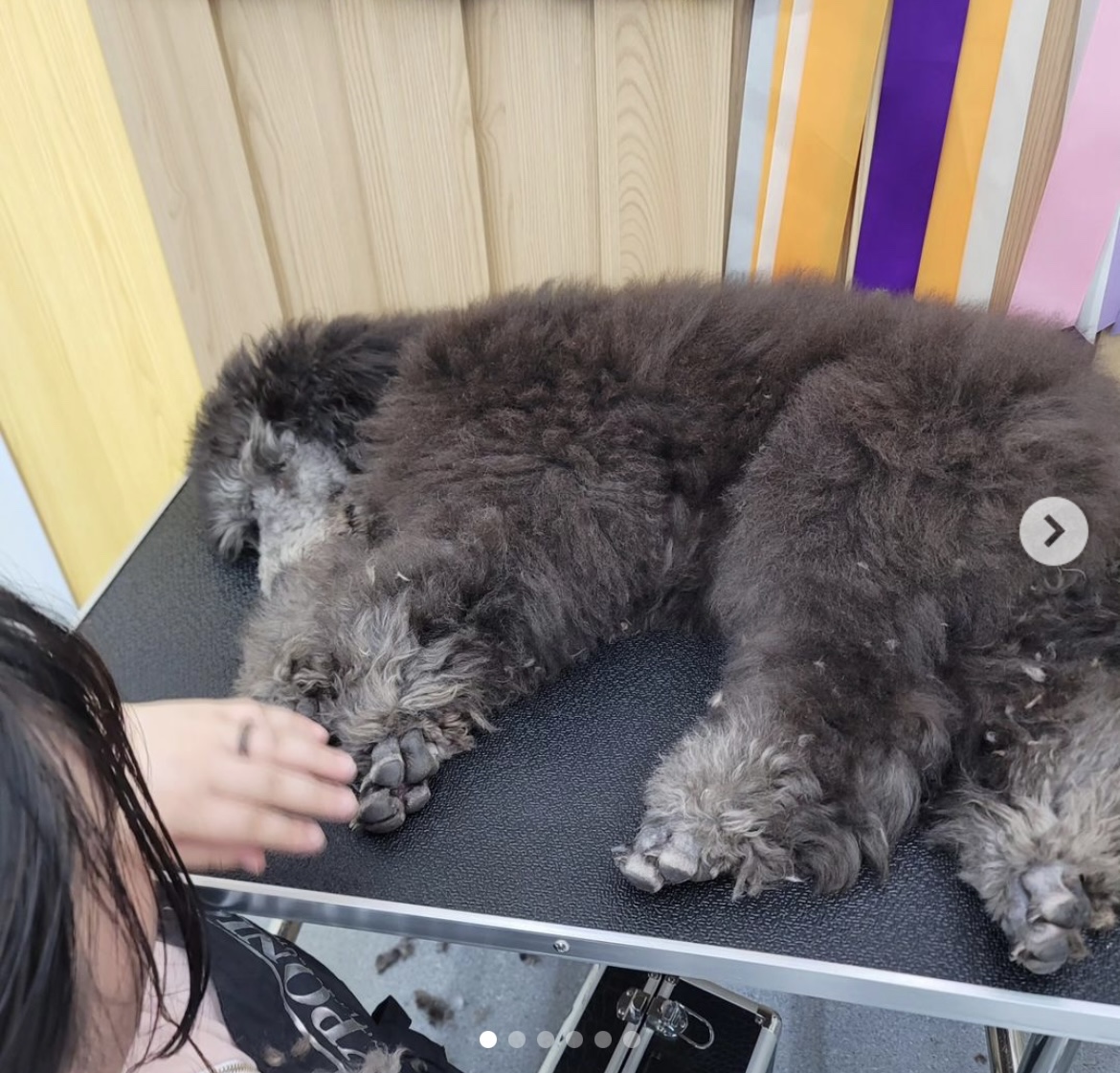 KakaoTalk_20240909_162539690_24.jpg