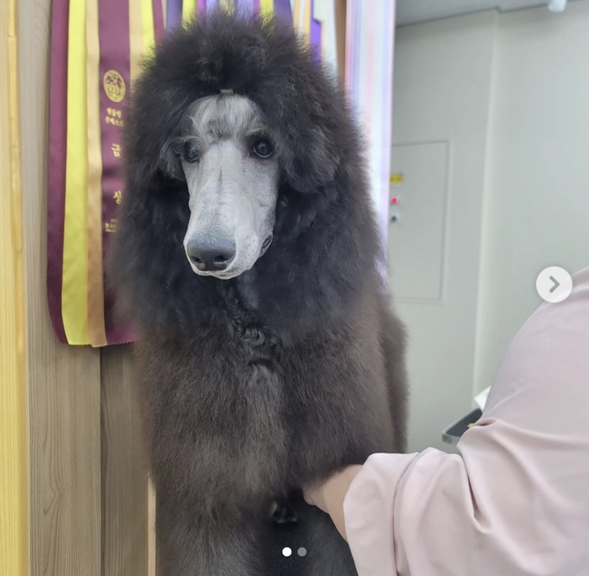 KakaoTalk_20240909_162539690_26.jpg