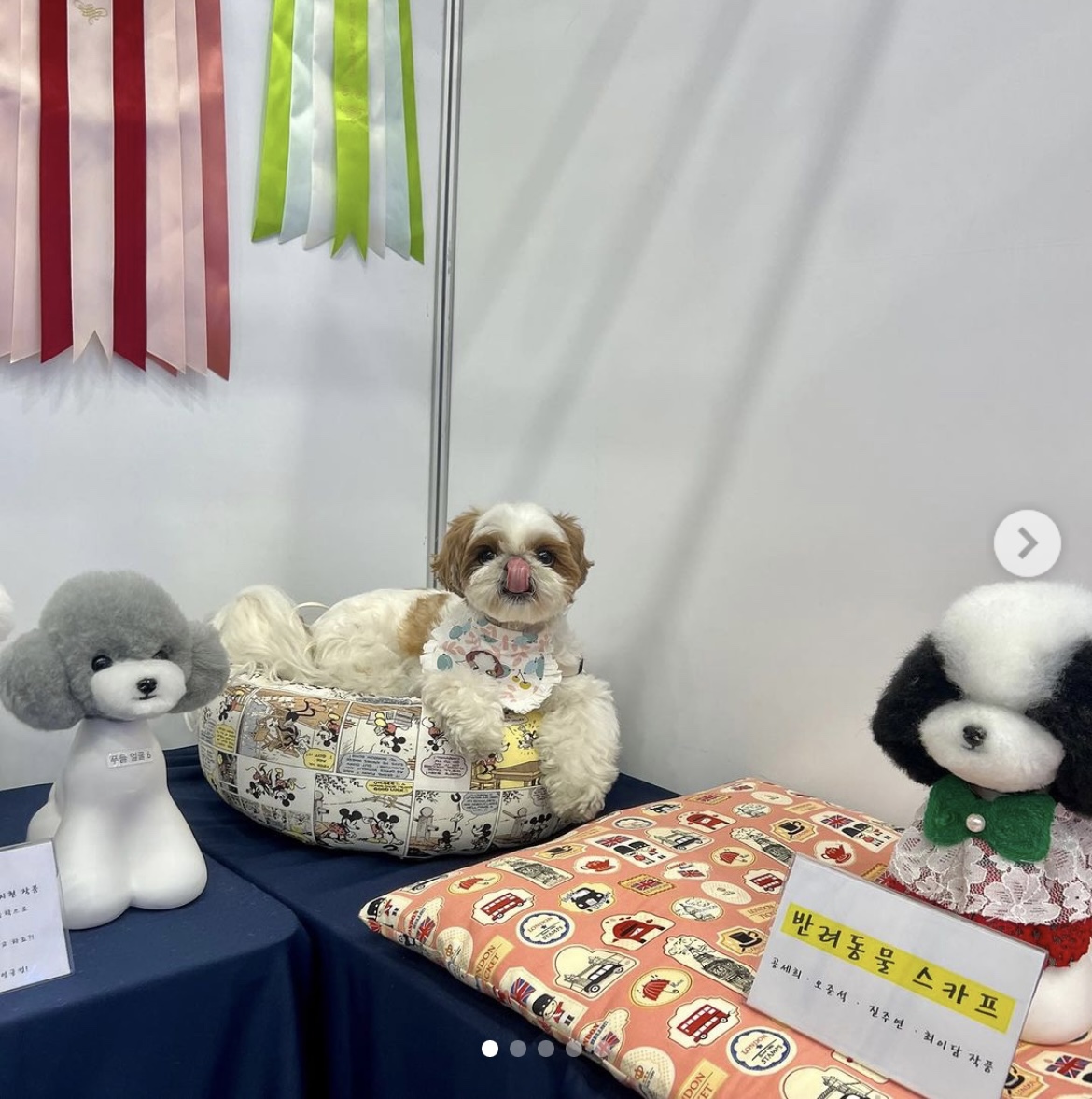 KakaoTalk_20240909_162556540_06.jpg