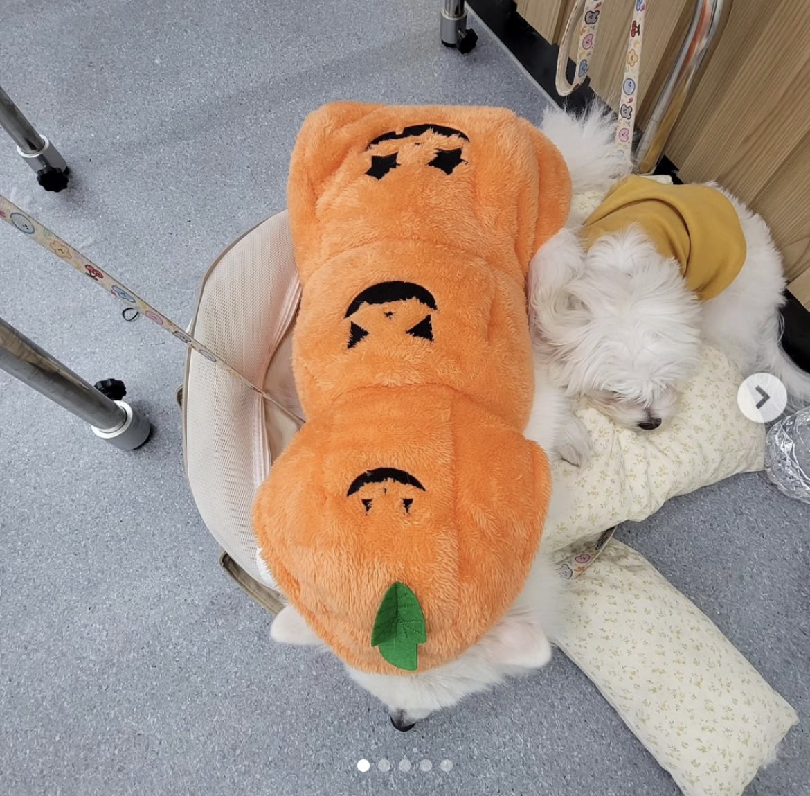 KakaoTalk_20240909_162556540_08.jpg