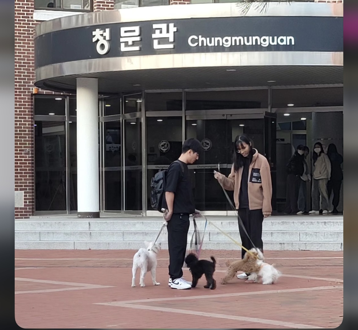 KakaoTalk_20240909_162556540_12.jpg
