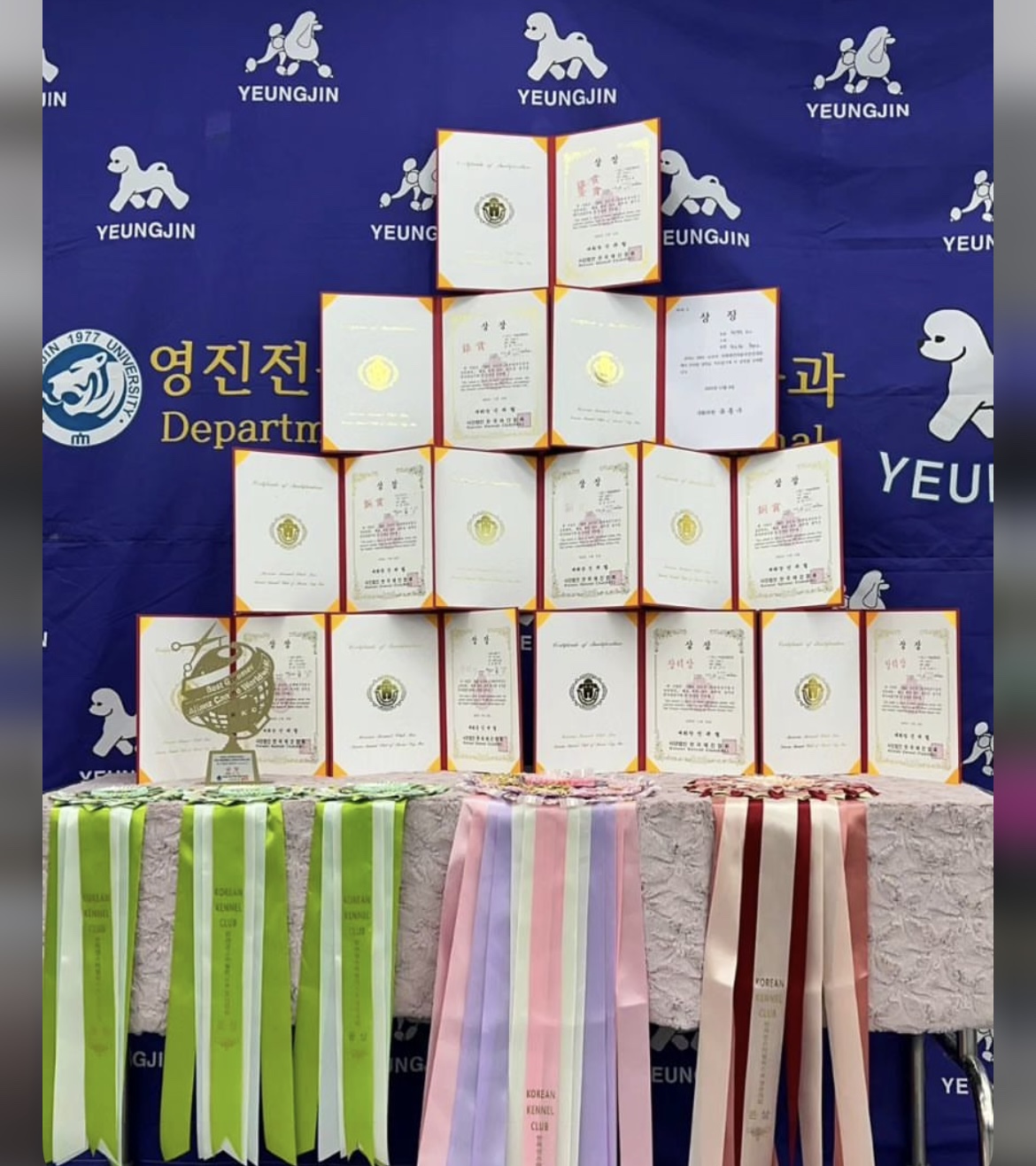 KakaoTalk_20240909_162556540_17.jpg