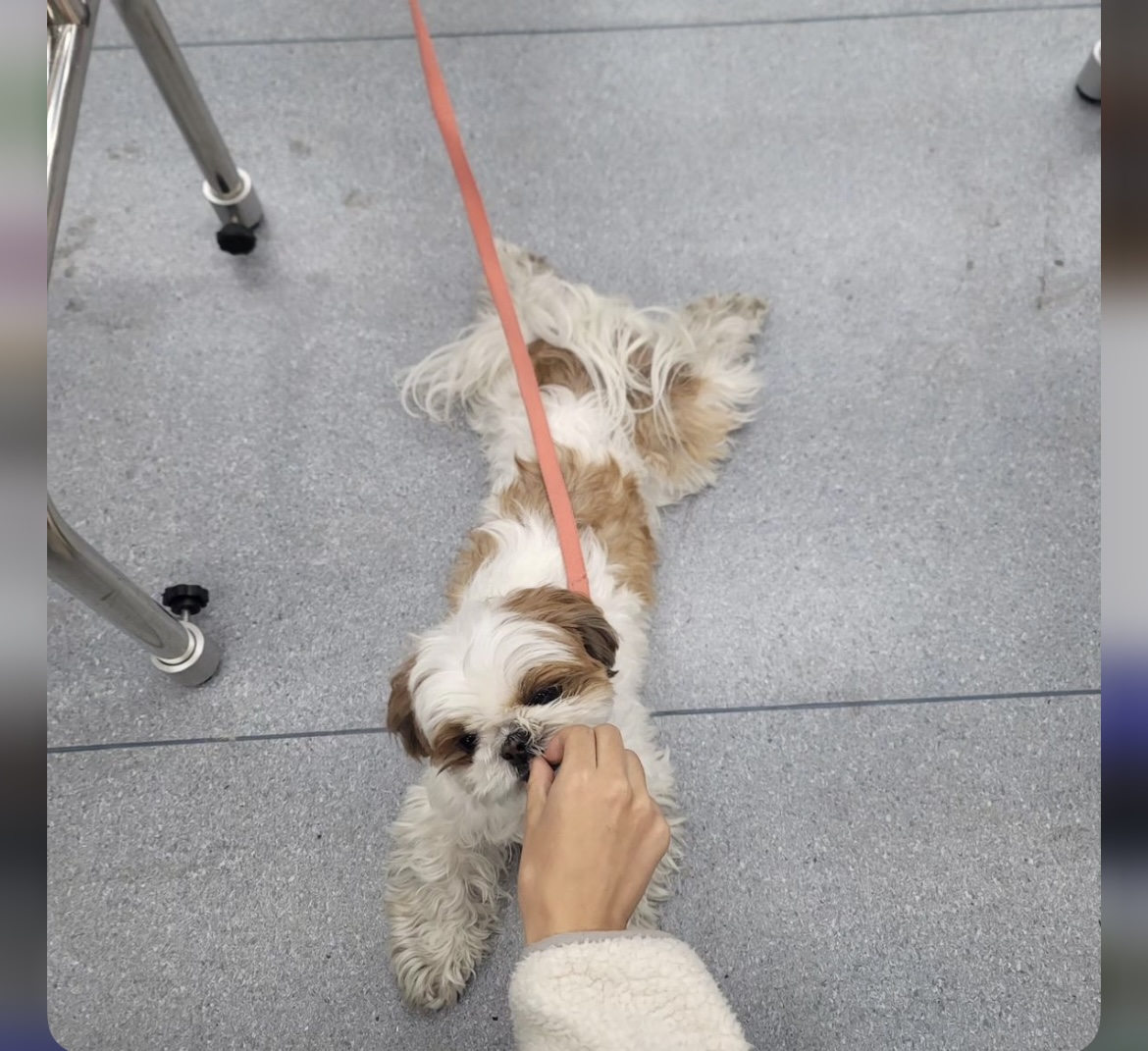 KakaoTalk_20240909_162556540_19.jpg