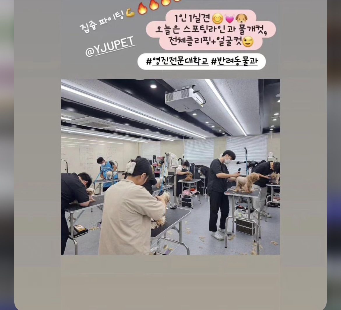 KakaoTalk_20240909_162556540_20.jpg