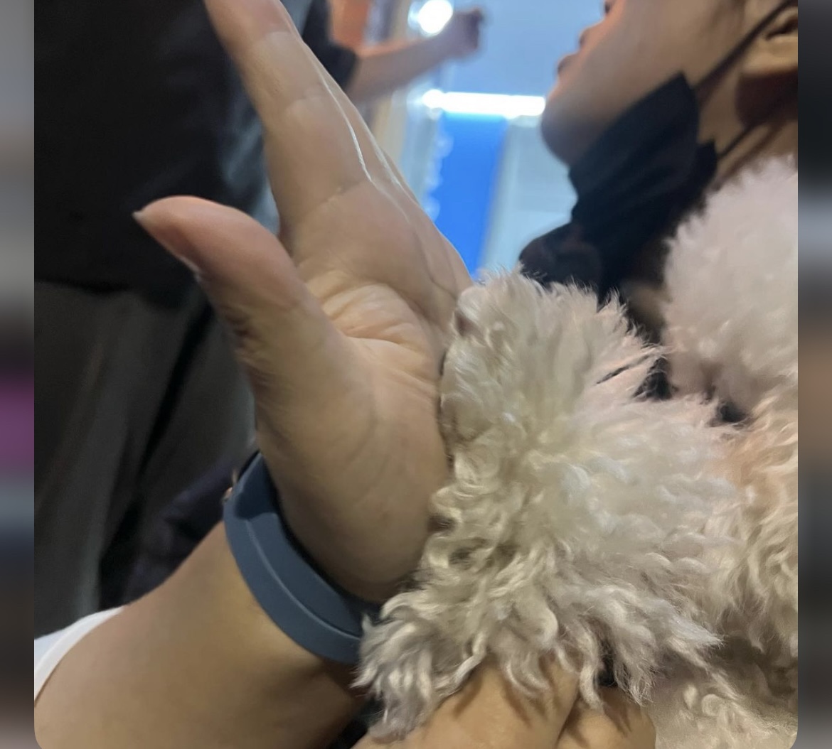 KakaoTalk_20240909_162614718.jpg