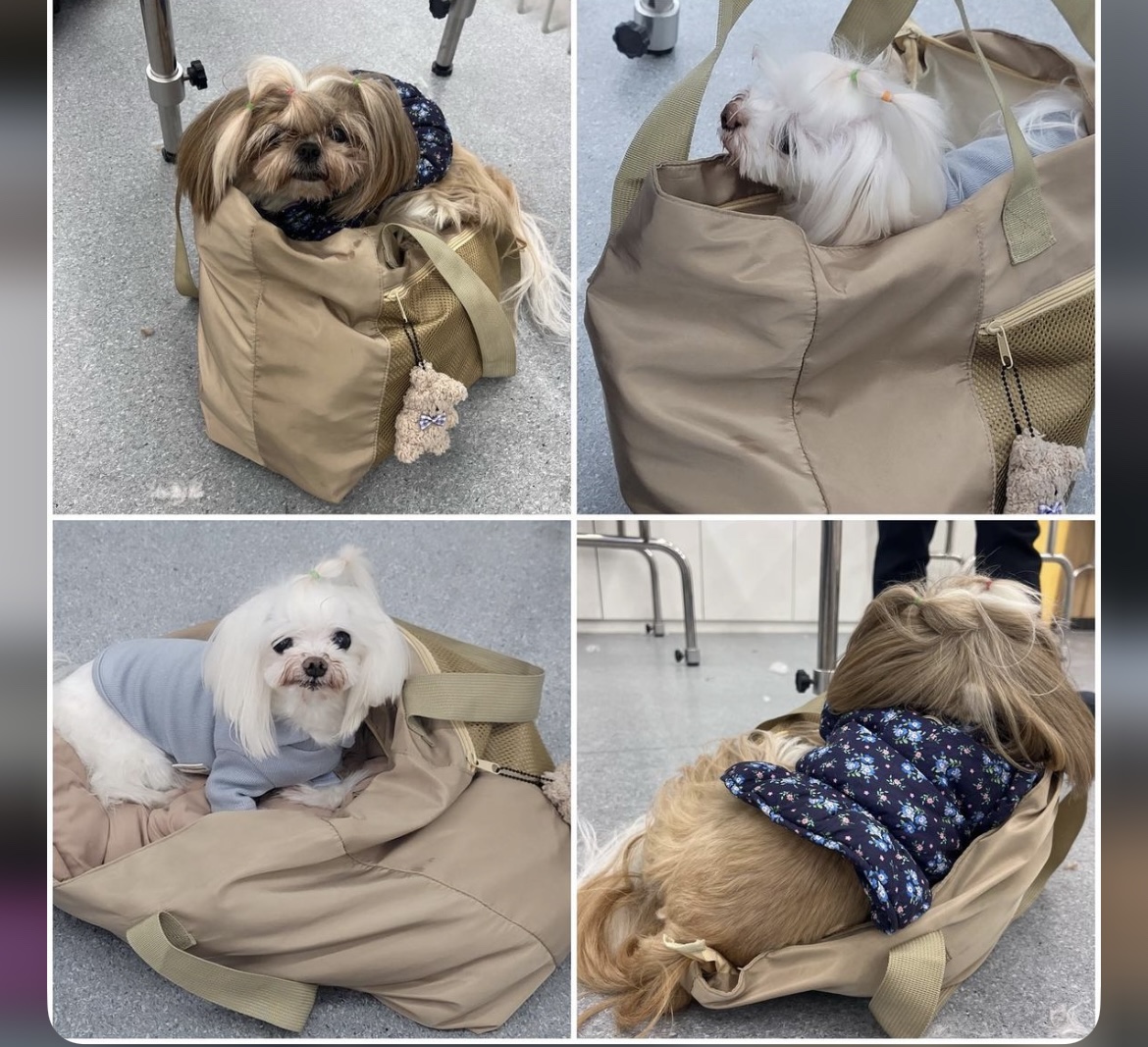 KakaoTalk_20240909_162614718_04.jpg