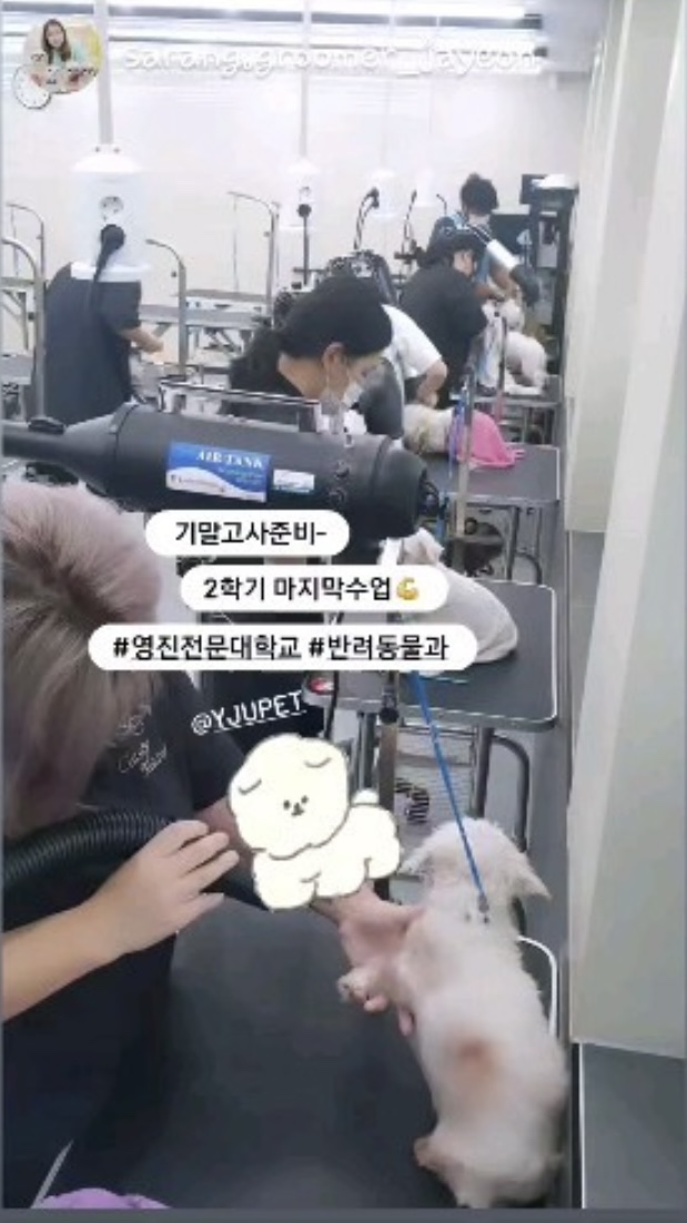 KakaoTalk_20240909_162614718_05.jpg