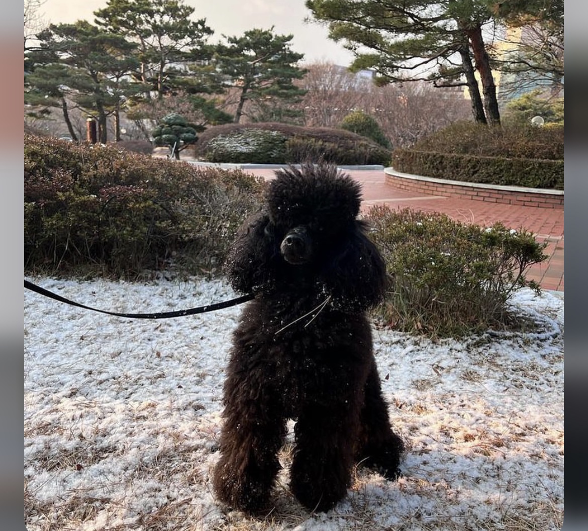 KakaoTalk_20240909_162614718_07.jpg