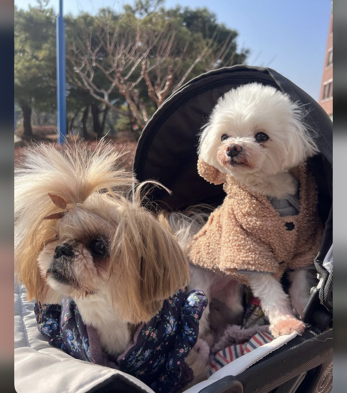 KakaoTalk_20240909_162614718_11.jpg