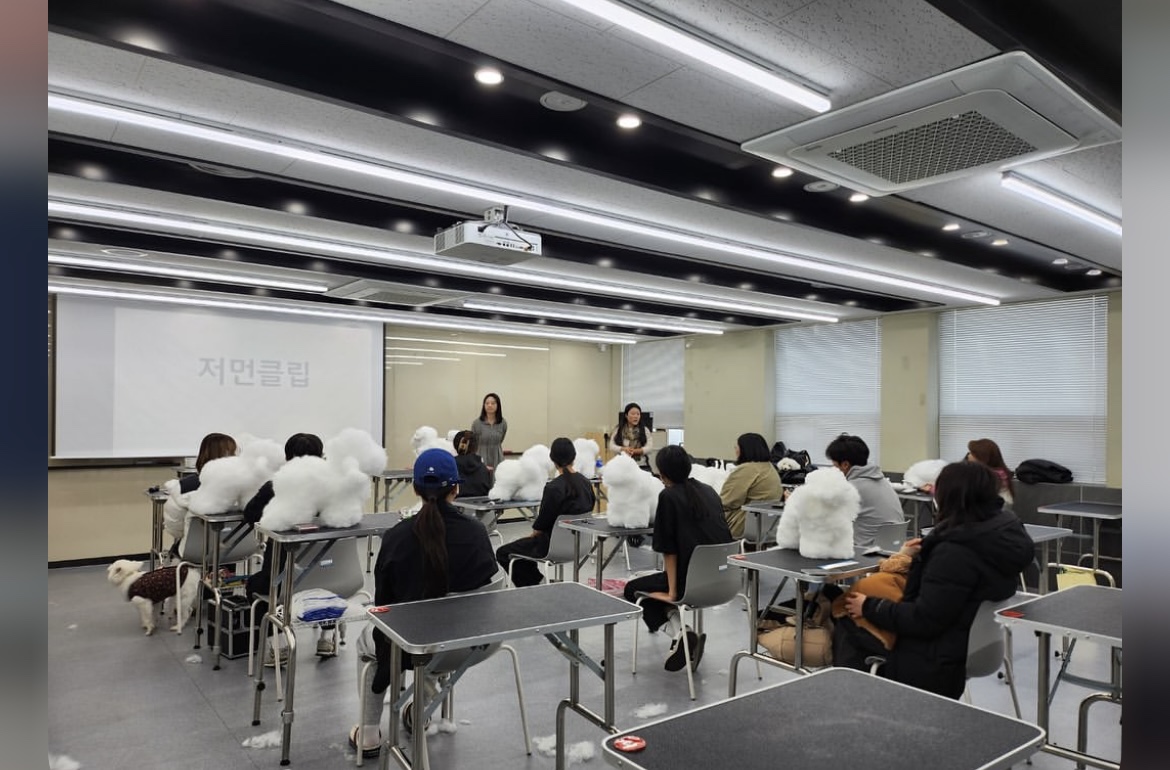 KakaoTalk_20240909_162614718_14.jpg
