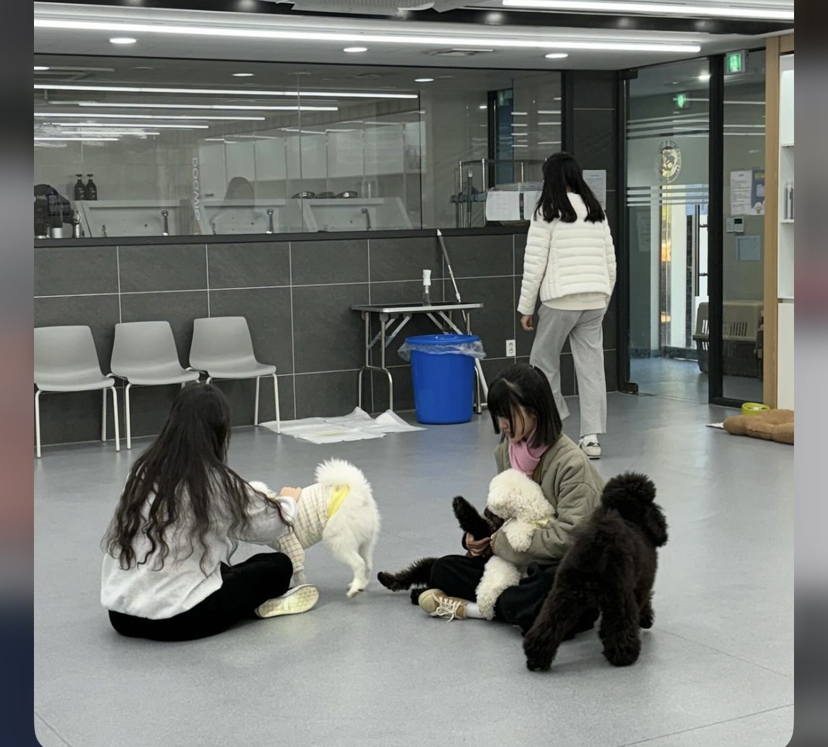 KakaoTalk_20240909_162614718_15.jpg