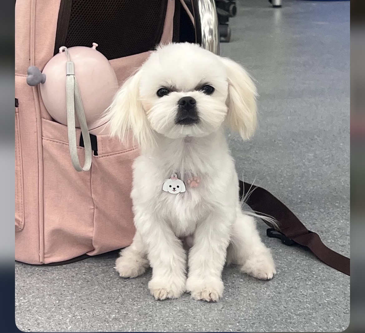 KakaoTalk_20240909_162614718_17.jpg