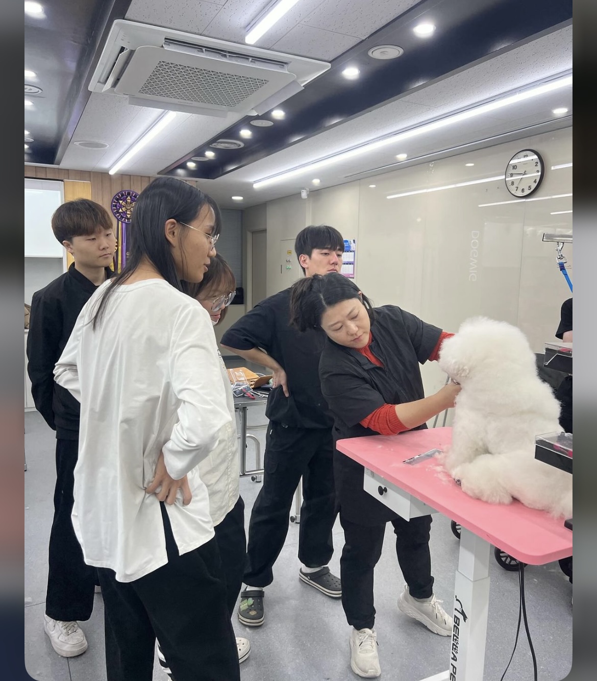 KakaoTalk_20240909_162614718_18.jpg