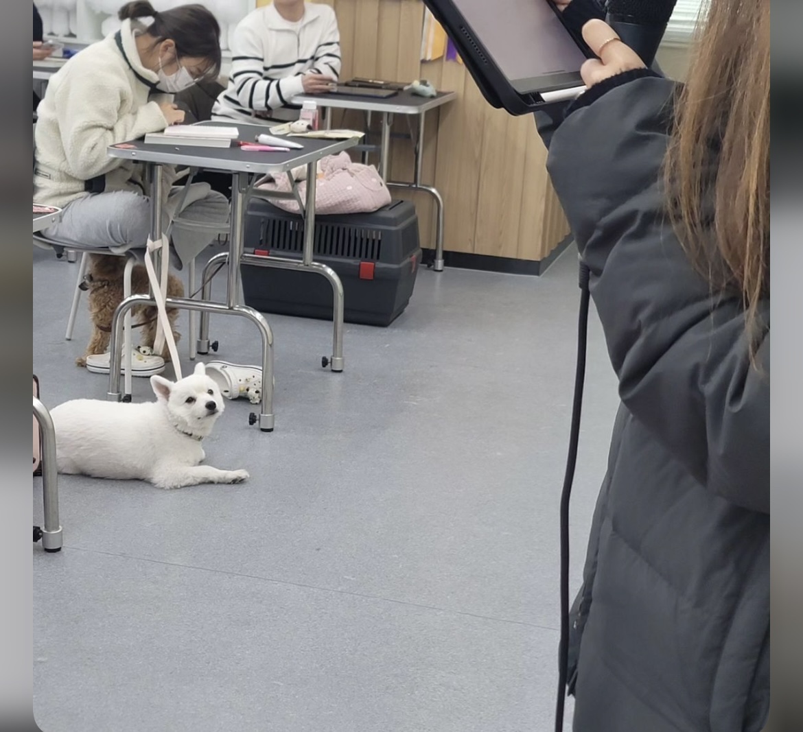 KakaoTalk_20240909_162614718_26.jpg
