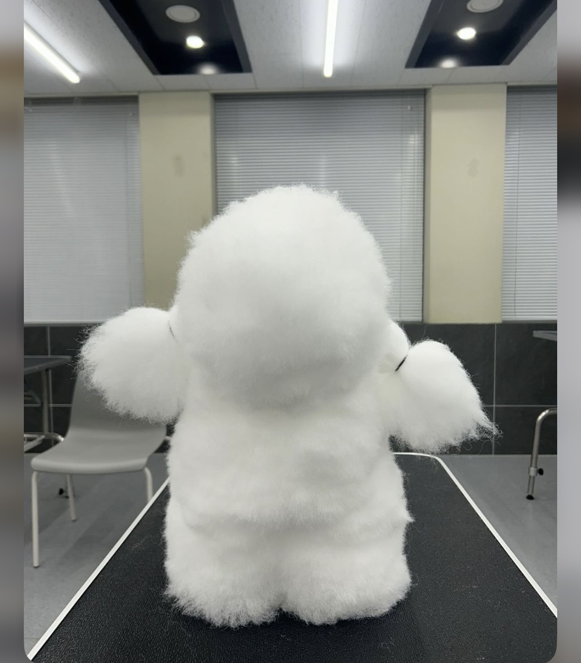 KakaoTalk_20240909_162614718_28.jpg