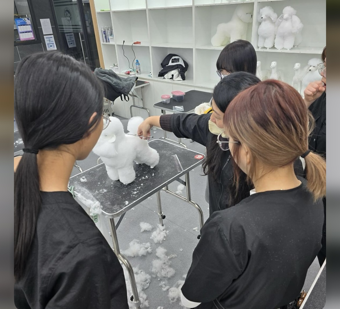 KakaoTalk_20240909_162630640_01.jpg