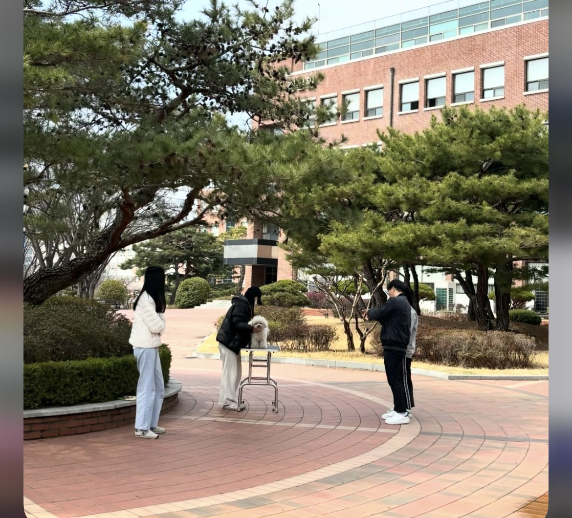 KakaoTalk_20240909_162630640_10.jpg