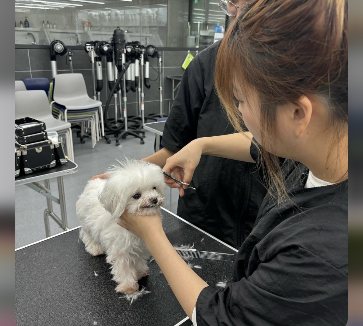 KakaoTalk_20240909_162630640_13.jpg
