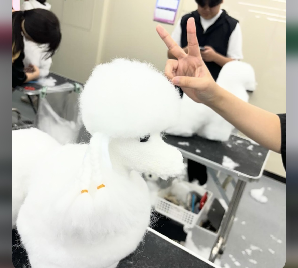 KakaoTalk_20240909_162630640_14.jpg