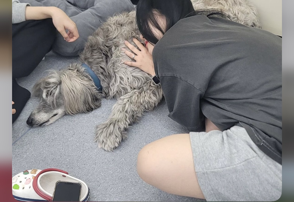 KakaoTalk_20240909_162630640_22.jpg