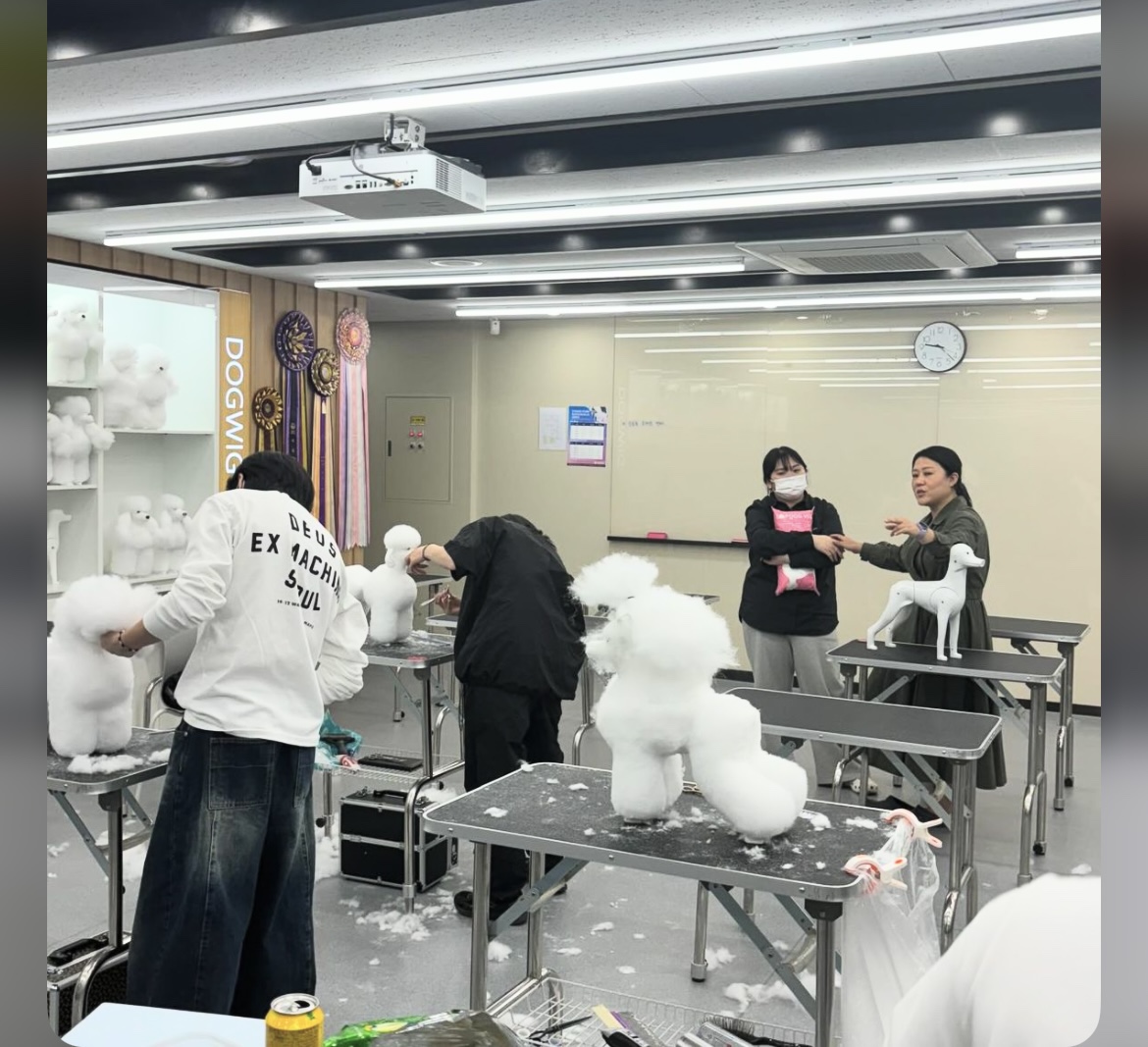 KakaoTalk_20240909_162645740_03.jpg