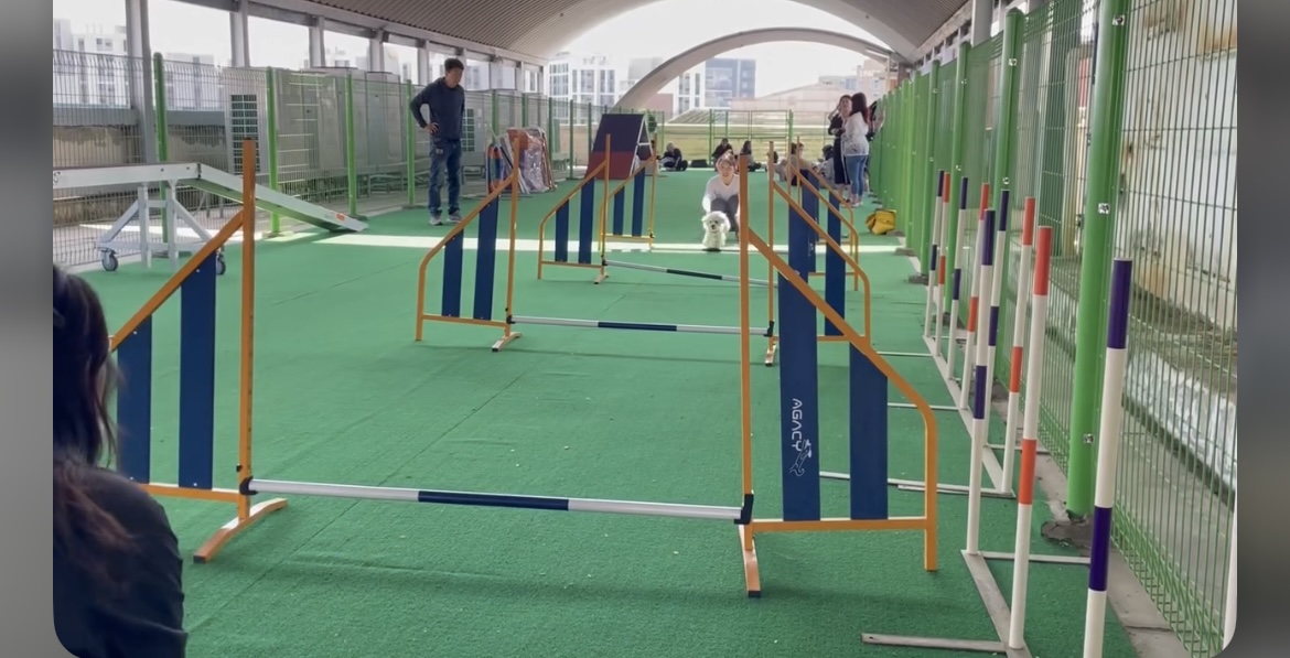 KakaoTalk_20240909_162645740_04.jpg