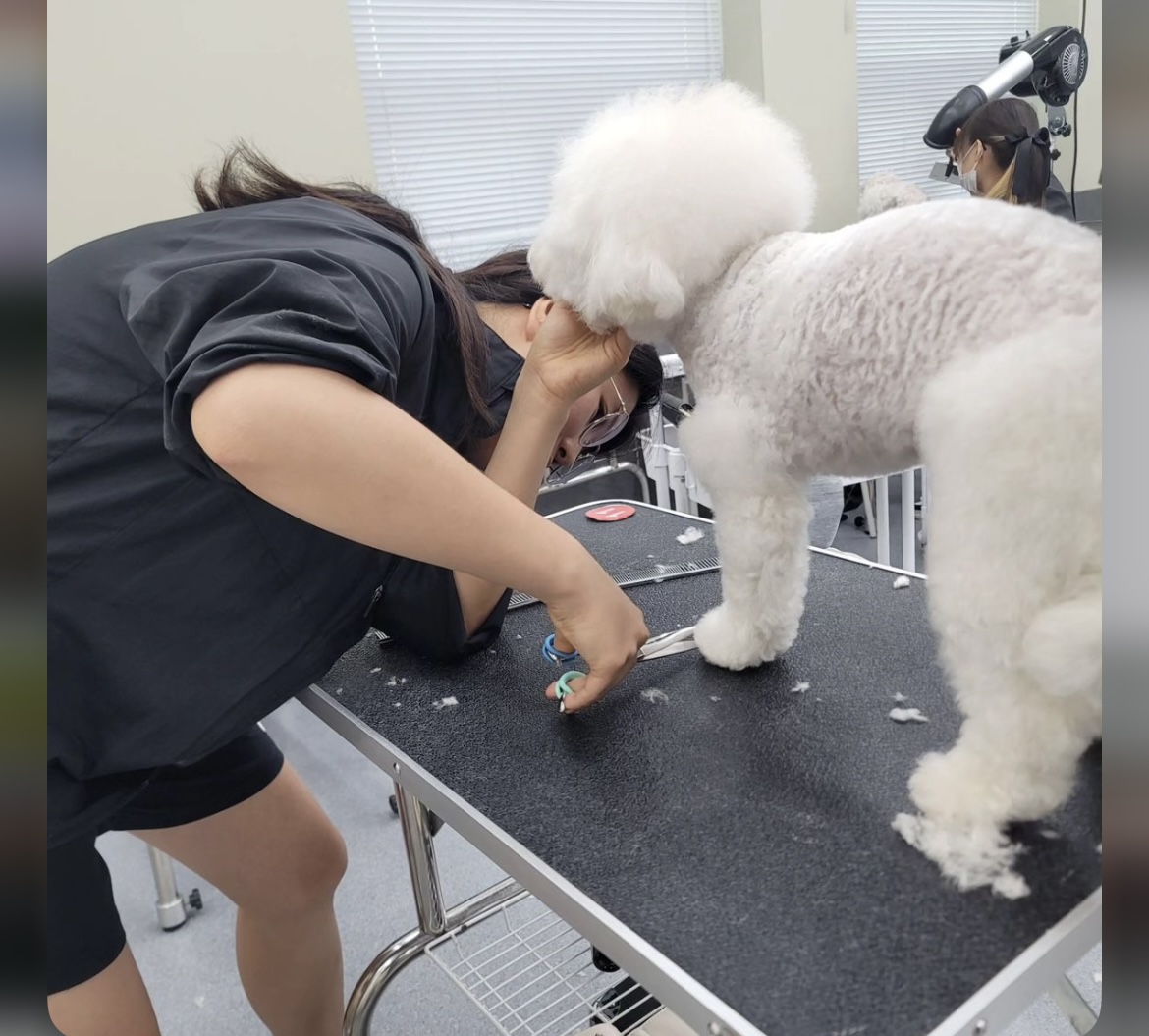 KakaoTalk_20240909_162645740_12.jpg