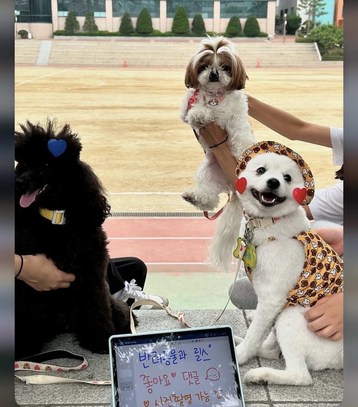 KakaoTalk_20240909_162645740_16.jpg