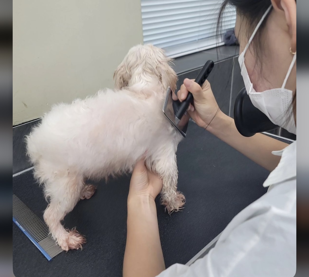 KakaoTalk_20240909_162645740_21.jpg