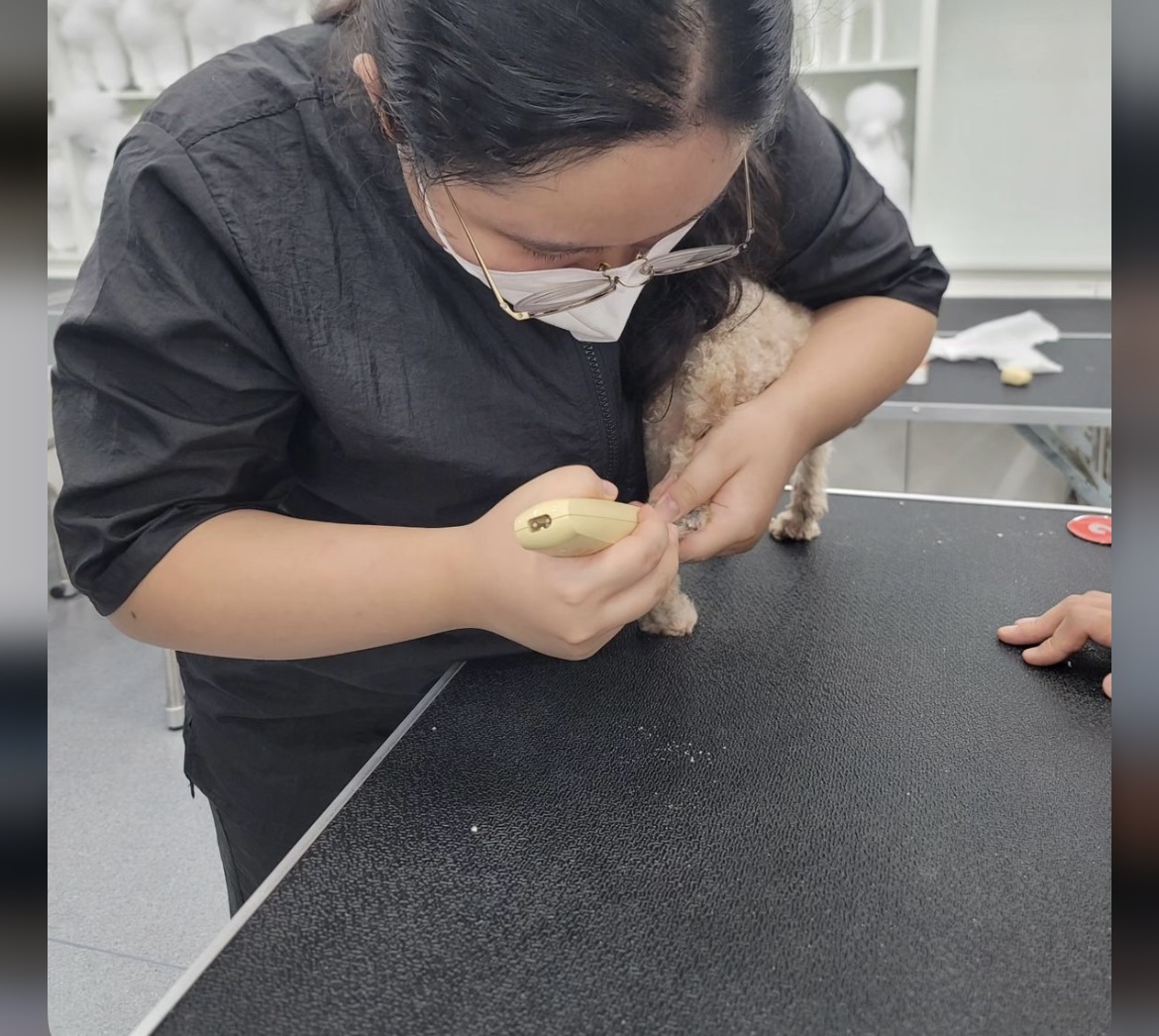KakaoTalk_20240909_162645740_23.jpg