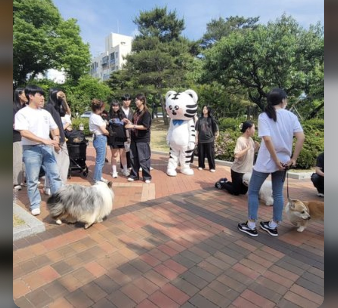KakaoTalk_20240909_162645740_27.jpg