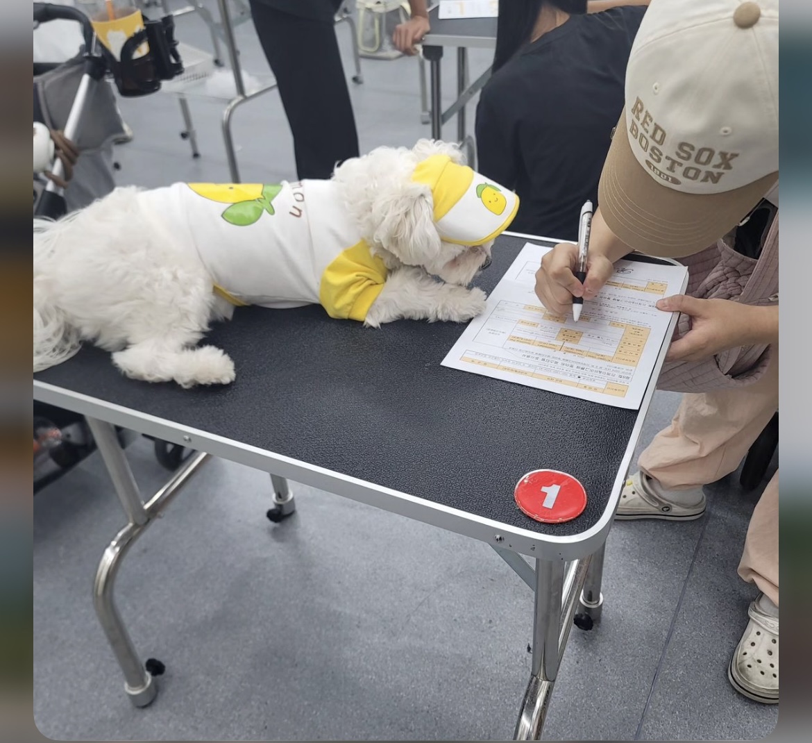 KakaoTalk_20240909_162645740_29.jpg