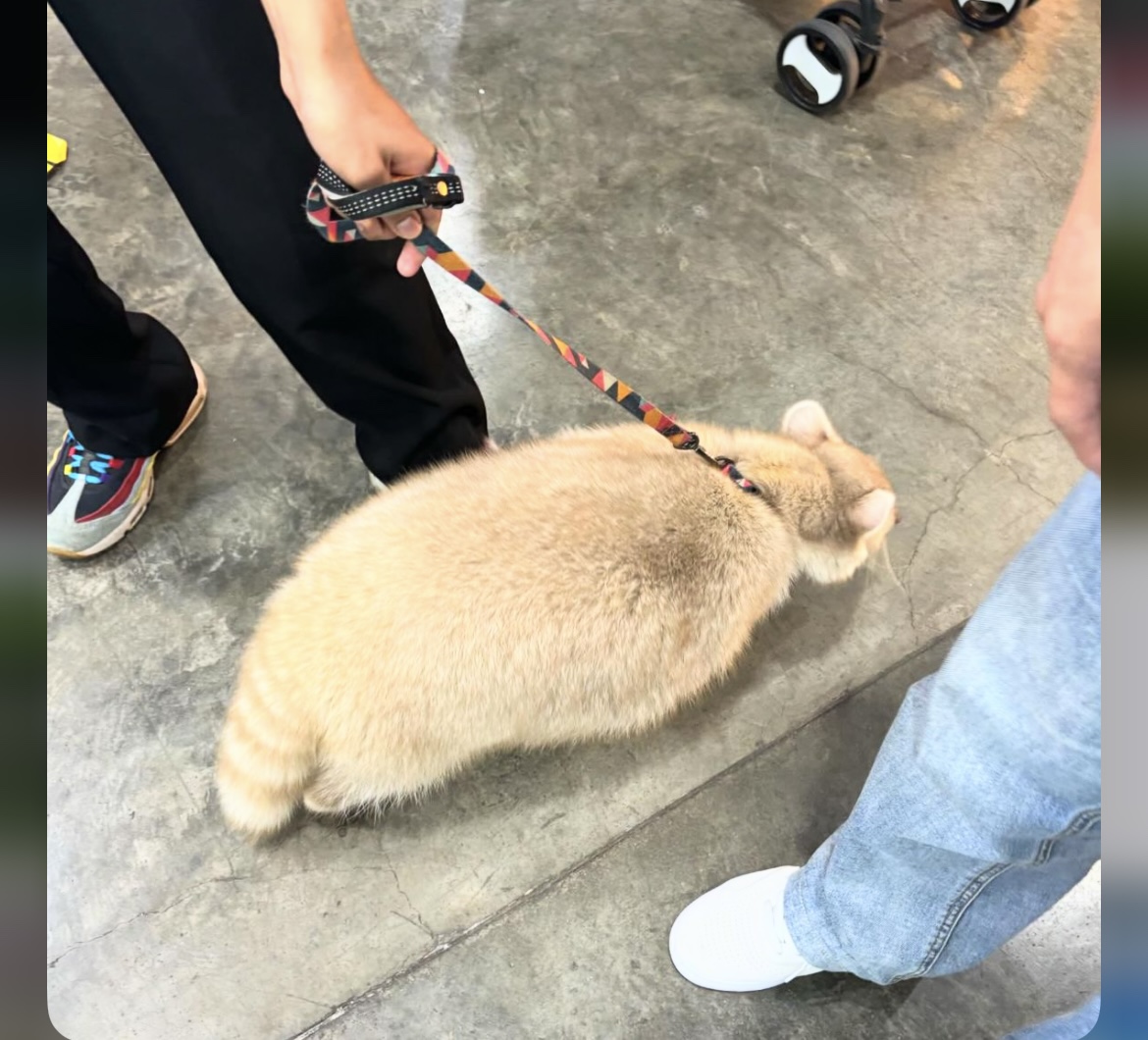 KakaoTalk_20240909_162659540_08.jpg